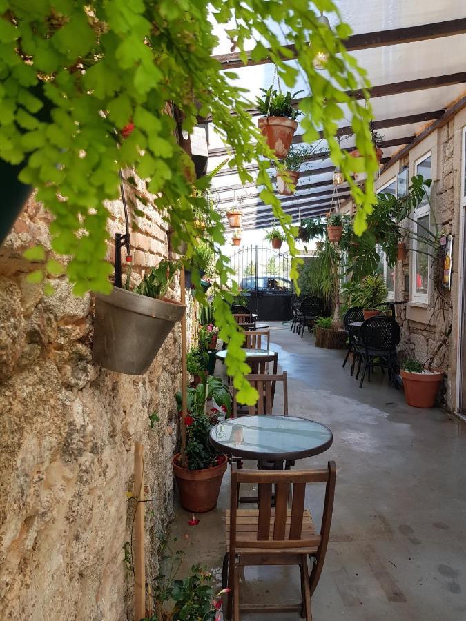 Garden Place Alojamento Local Viseu Εξωτερικό φωτογραφία